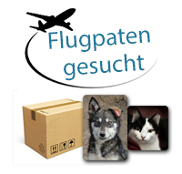 Flug-Paten gesucht